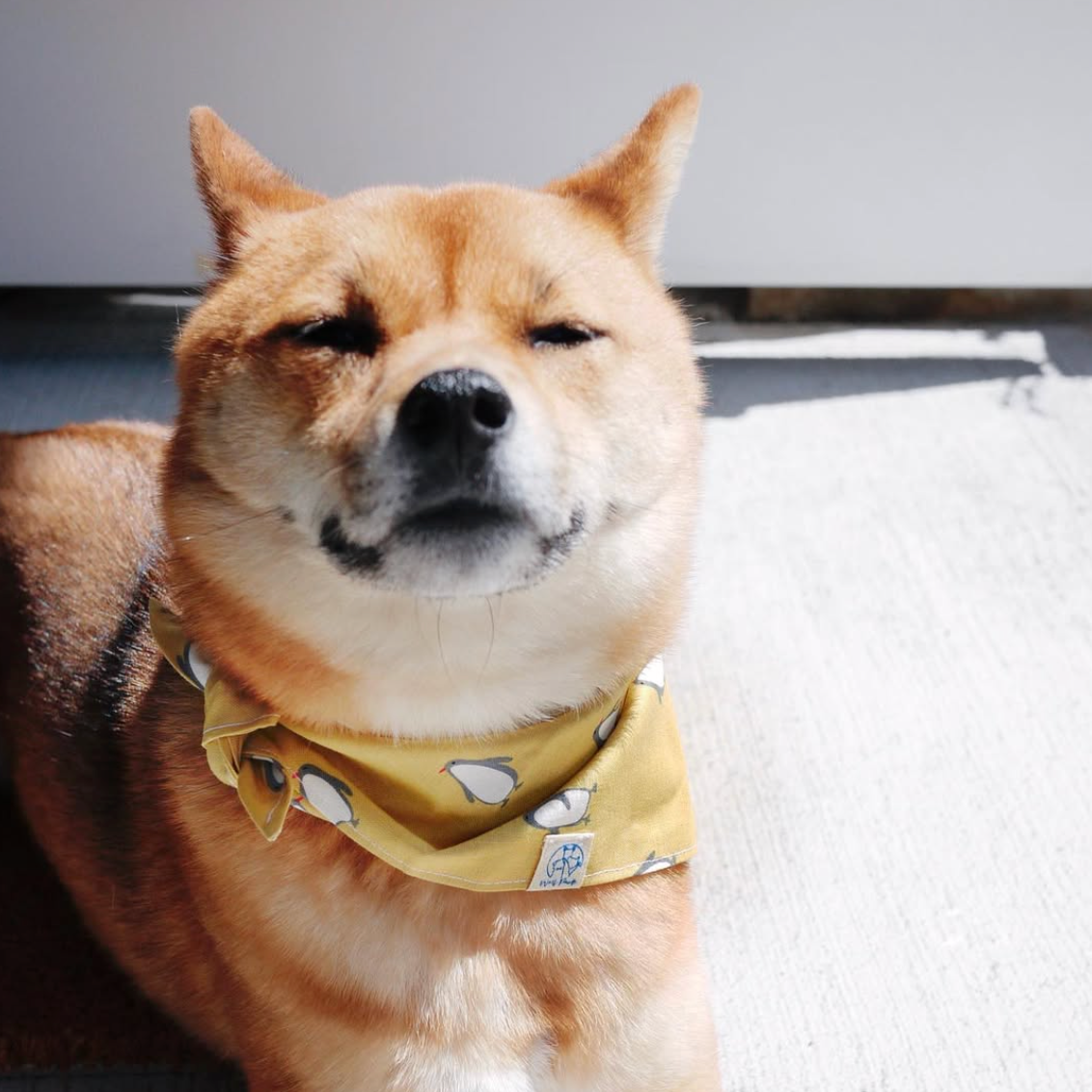 Woofpack | Yellow Penguin Pet Bandana