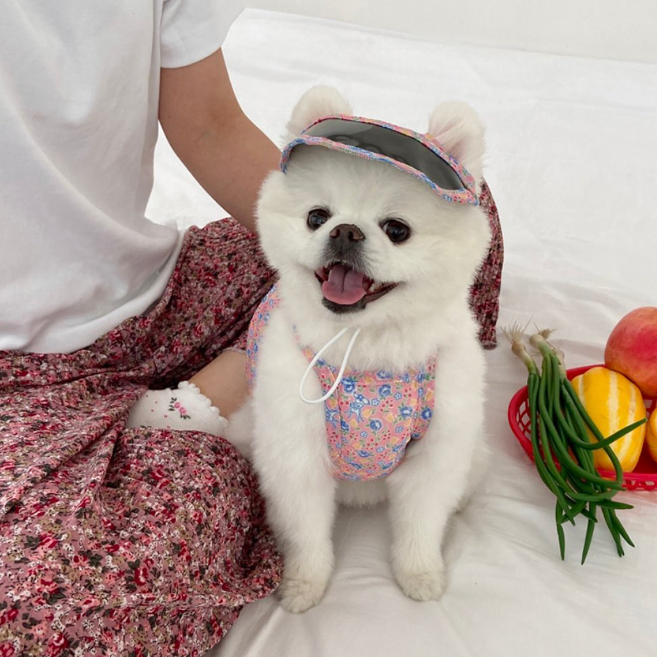 Pet Daily | Floral Pet Sun Cap