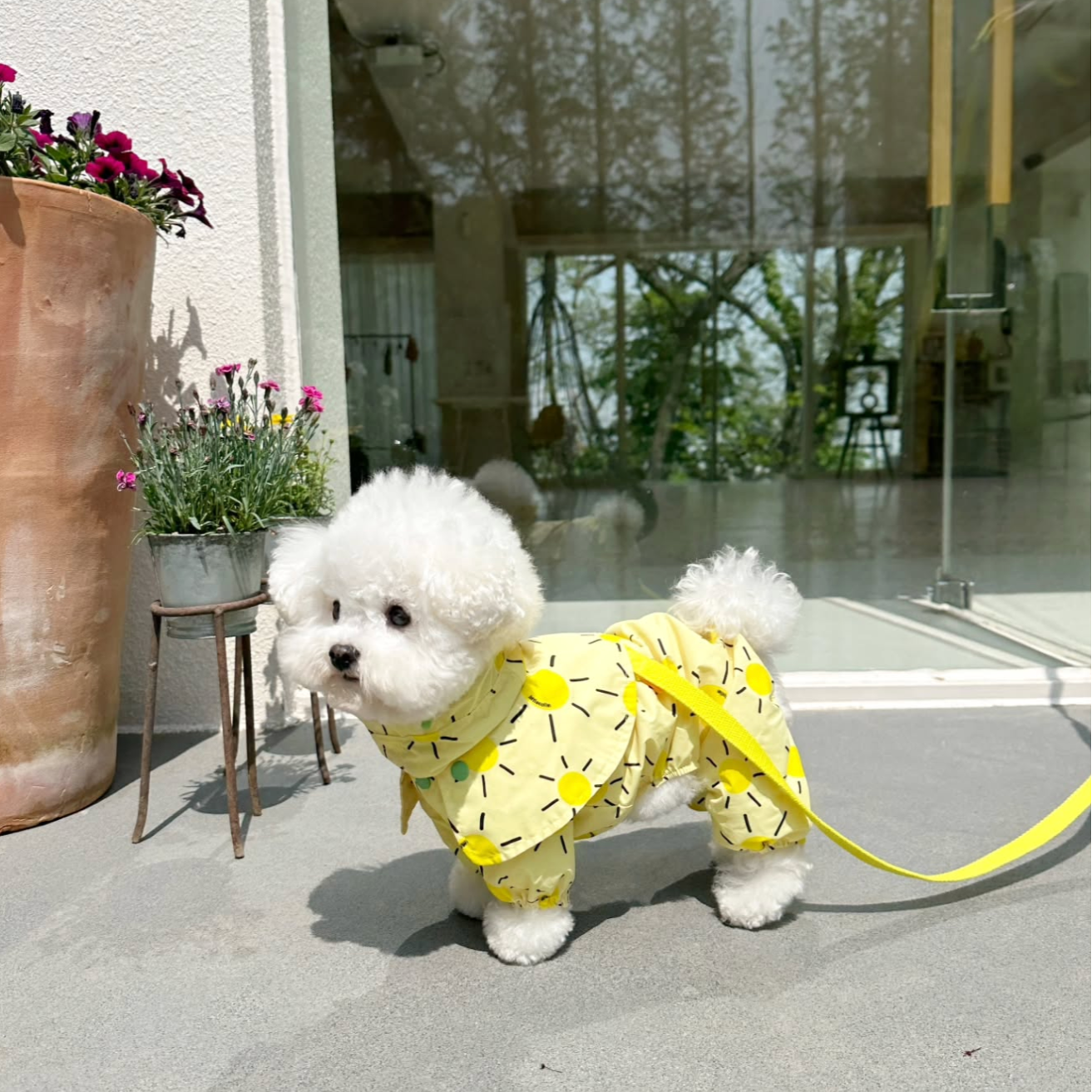Pet Daily | Pet Sunshine Cape Raincoat