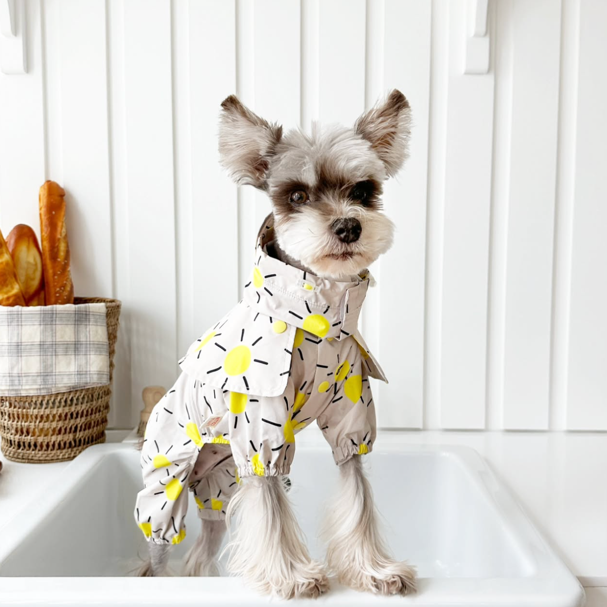 Pet Daily | Pet Sunshine Cape Raincoat