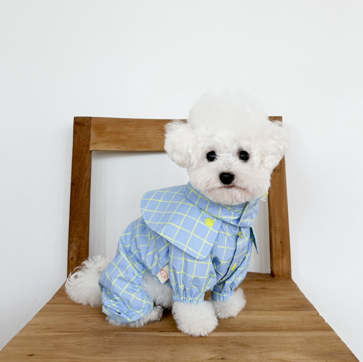 Pet Daily | Pet Checked Cape Raincoat