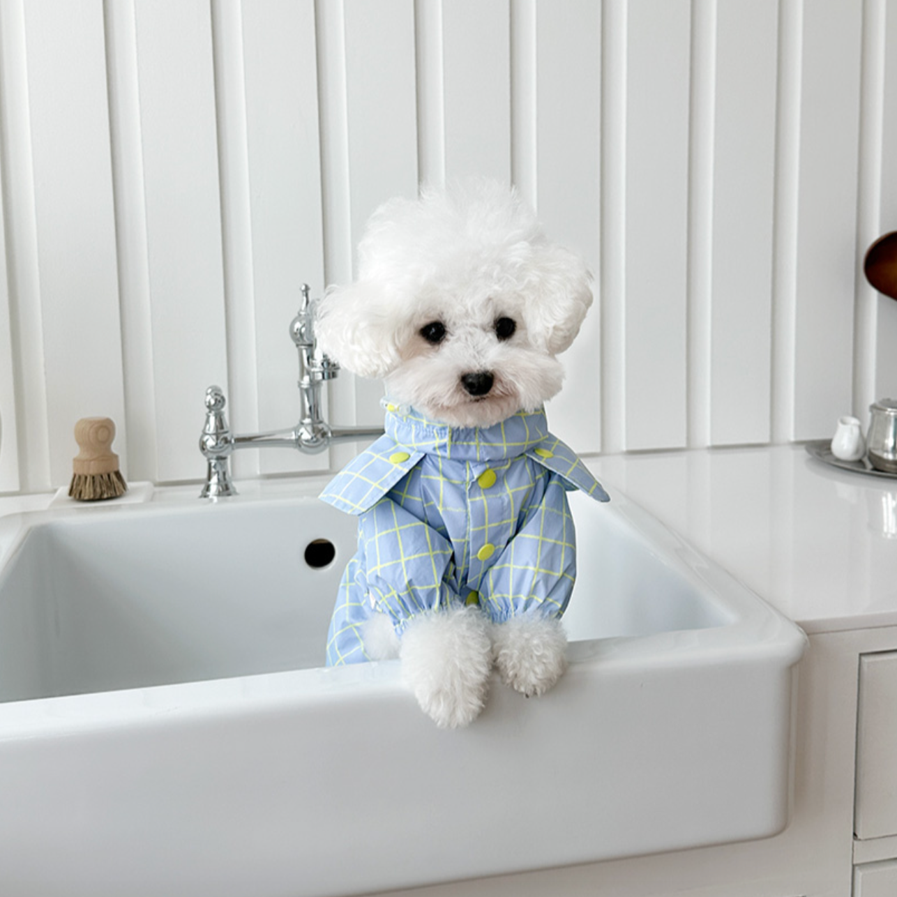 Pet Daily | Pet Checked Cape Raincoat