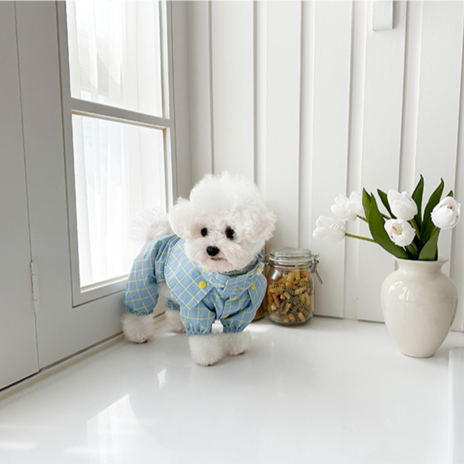 Pet Daily | Pet Checked Cape Raincoat