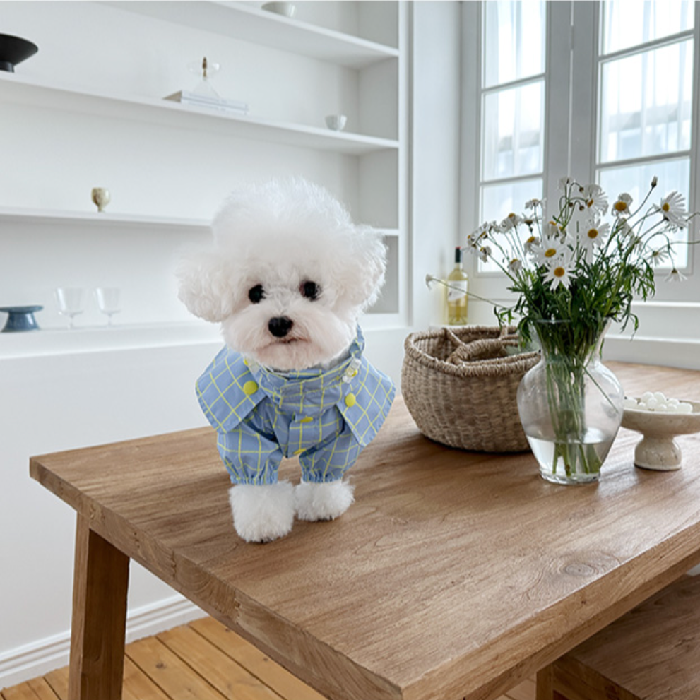 Pet Daily | Pet Checked Cape Raincoat