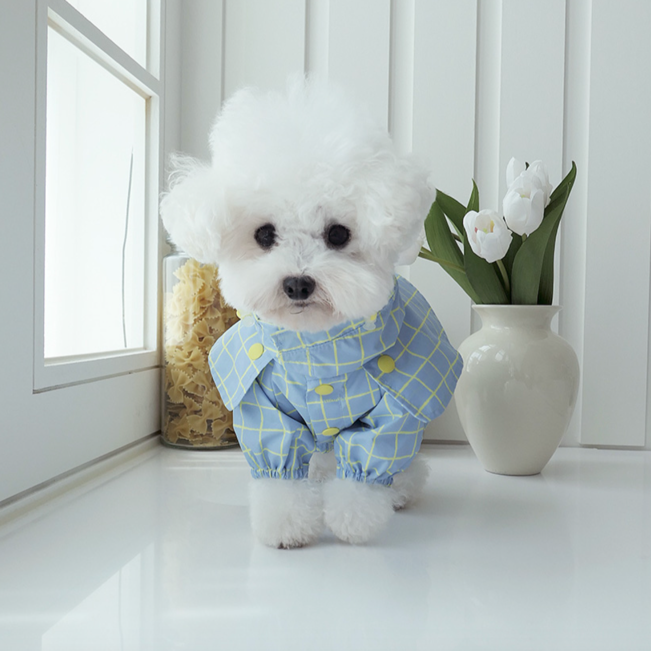 Pet Daily | Pet Checked Cape Raincoat
