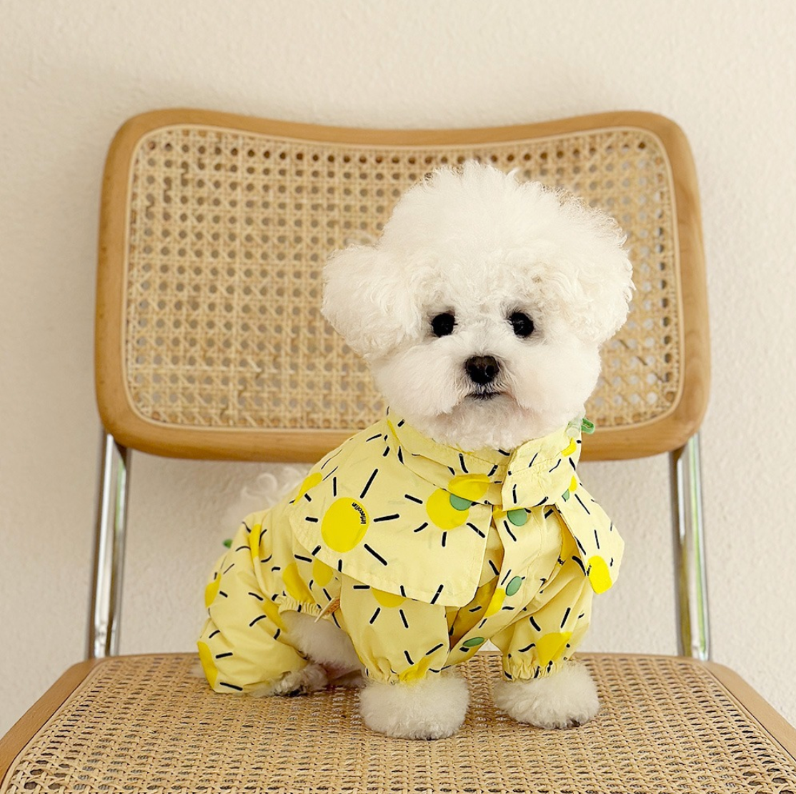 Pet Daily | Pet Sunshine Cape Raincoat