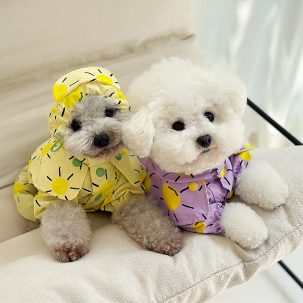 Pet Daily | Pet Sunshine Cape Raincoat