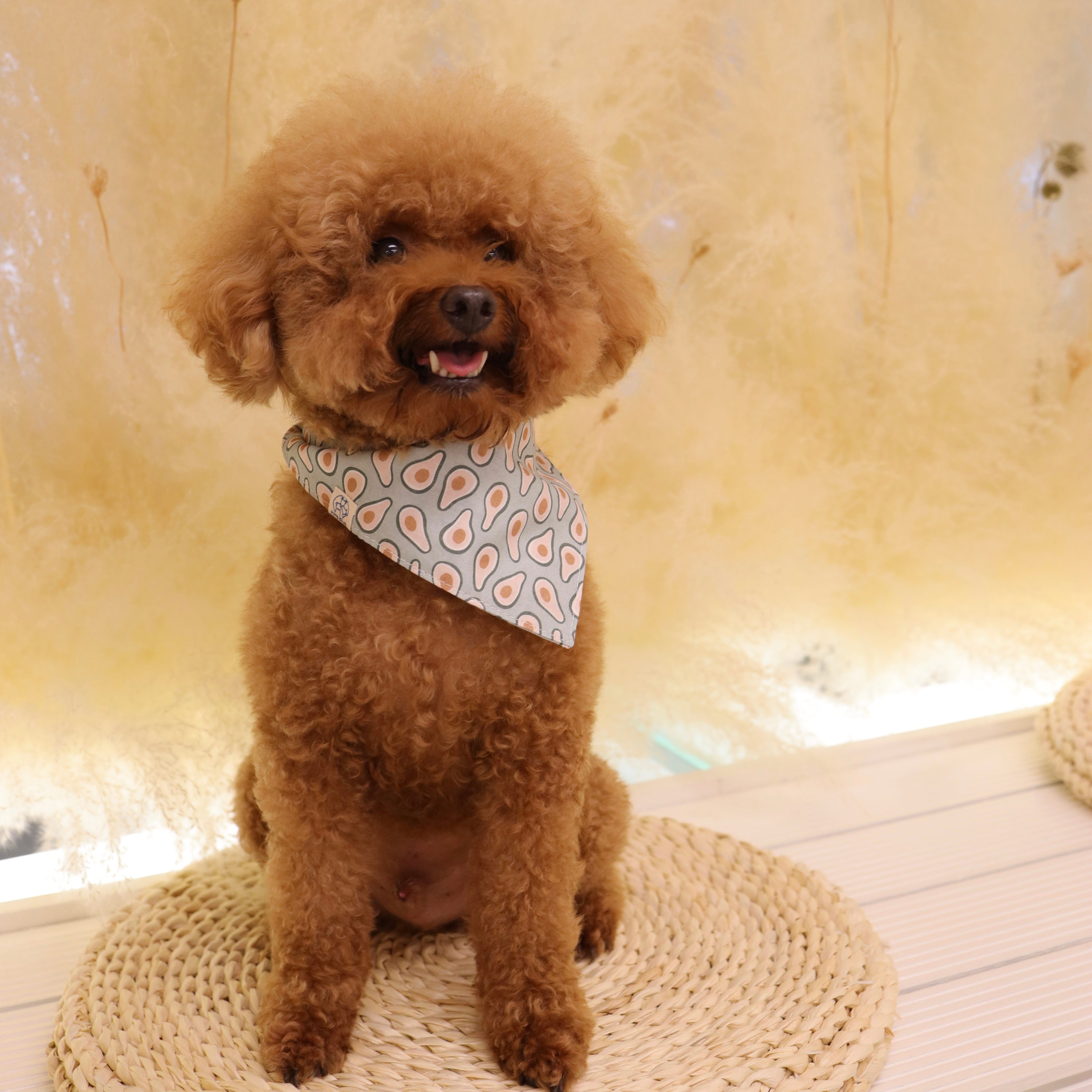 Woofpack|Avocado Pet Bandana