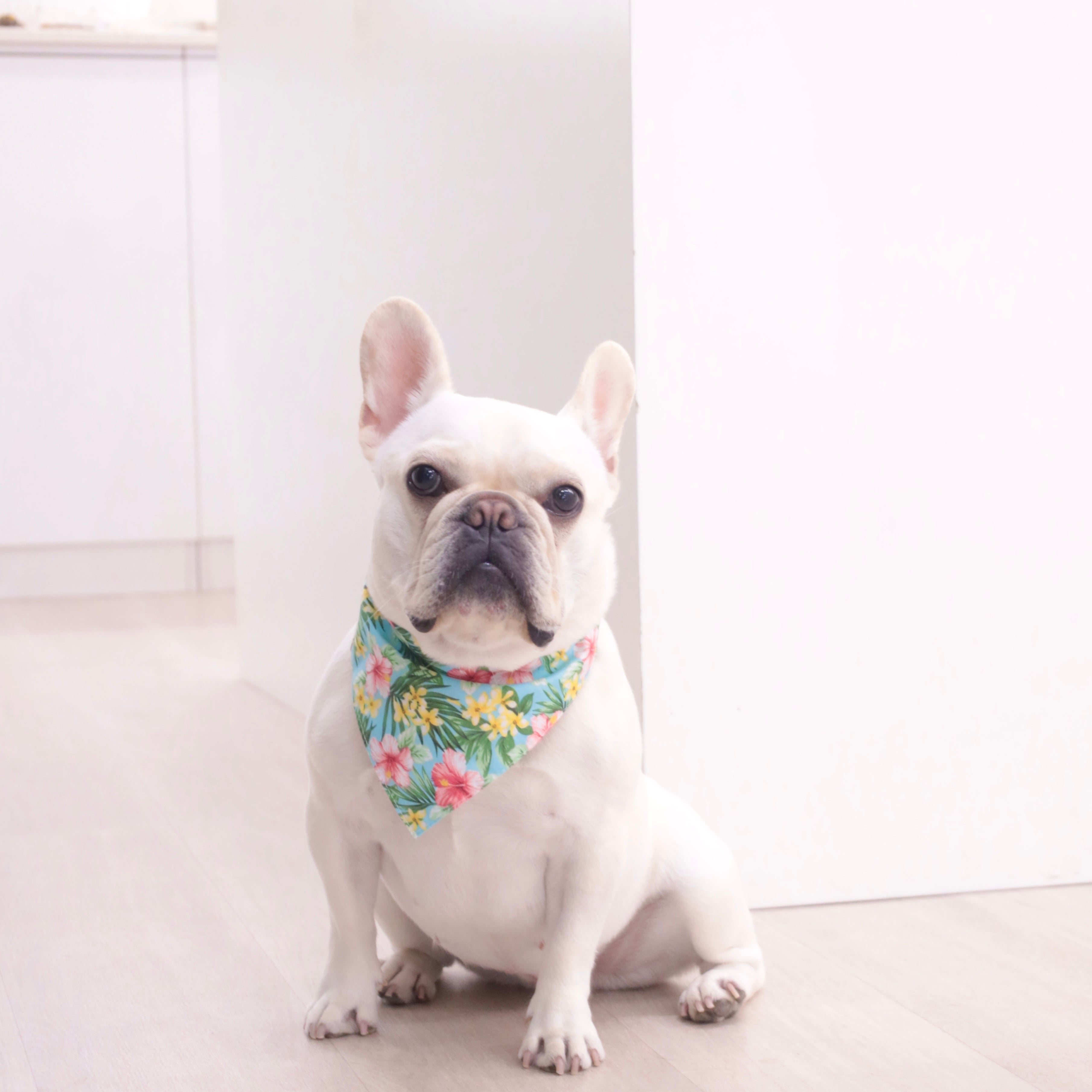 Woofpack|Hawaiian Pet Bandana