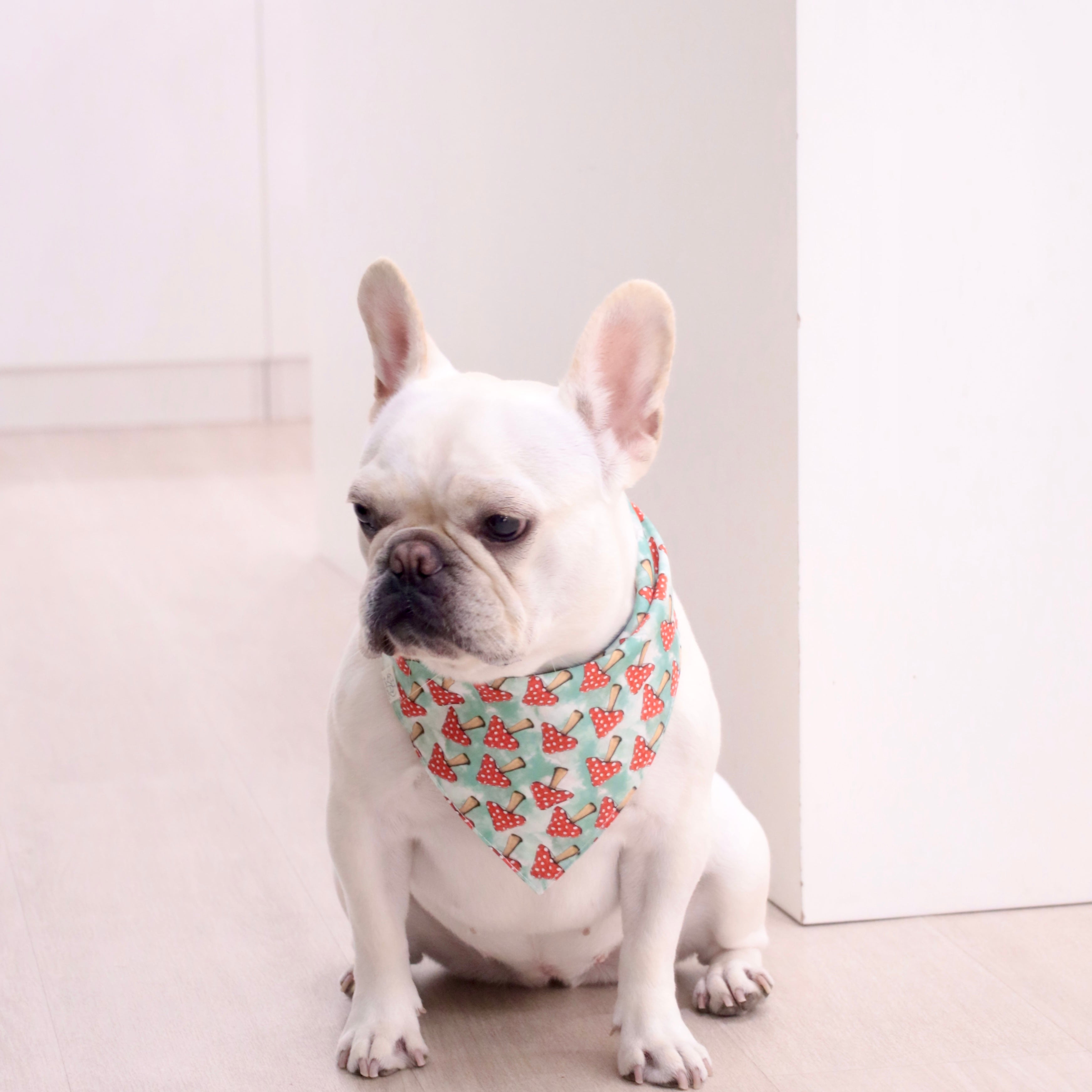 Woofpack|Shroom Bloom Pet Bandana