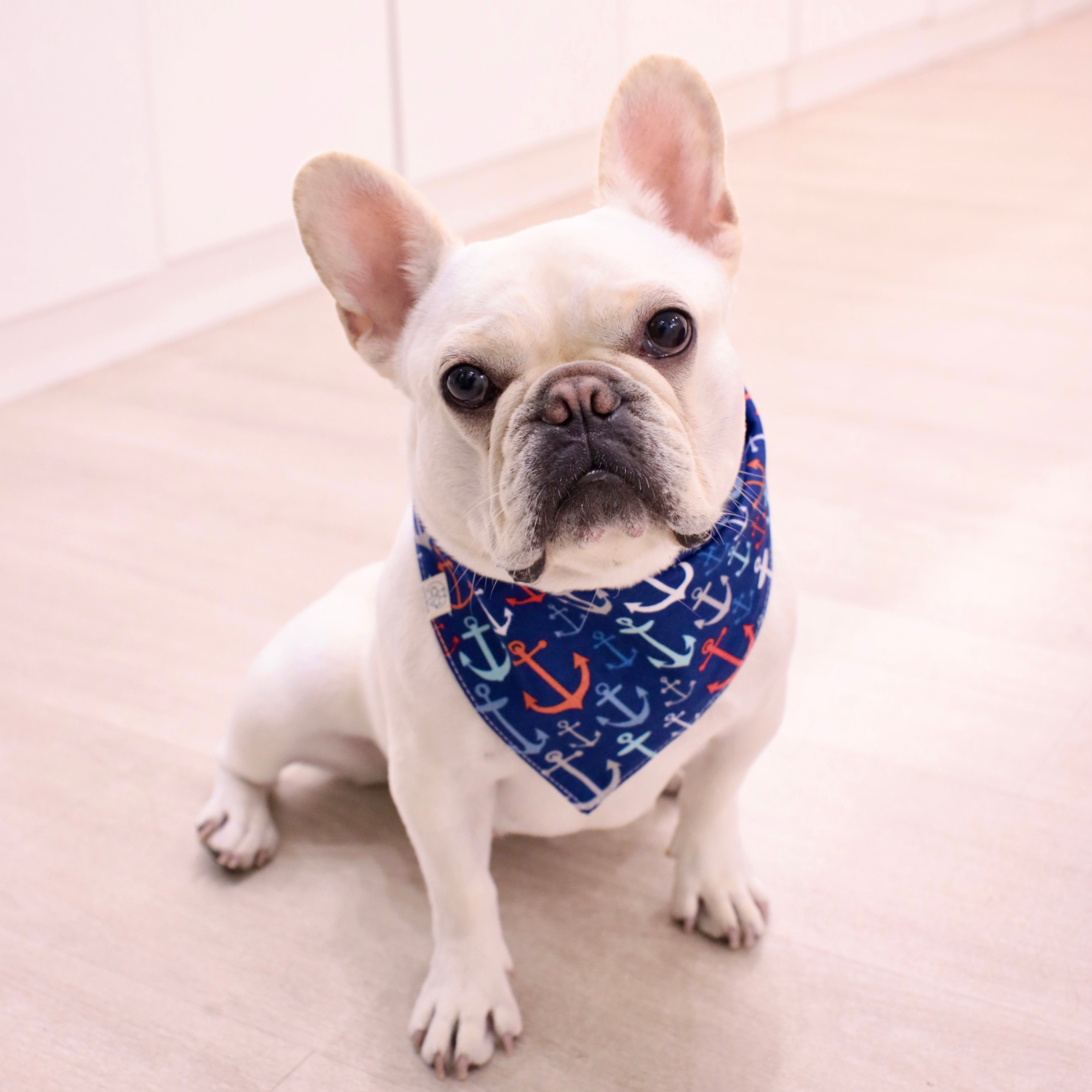 Woofpack | Sailor Pet Bandana