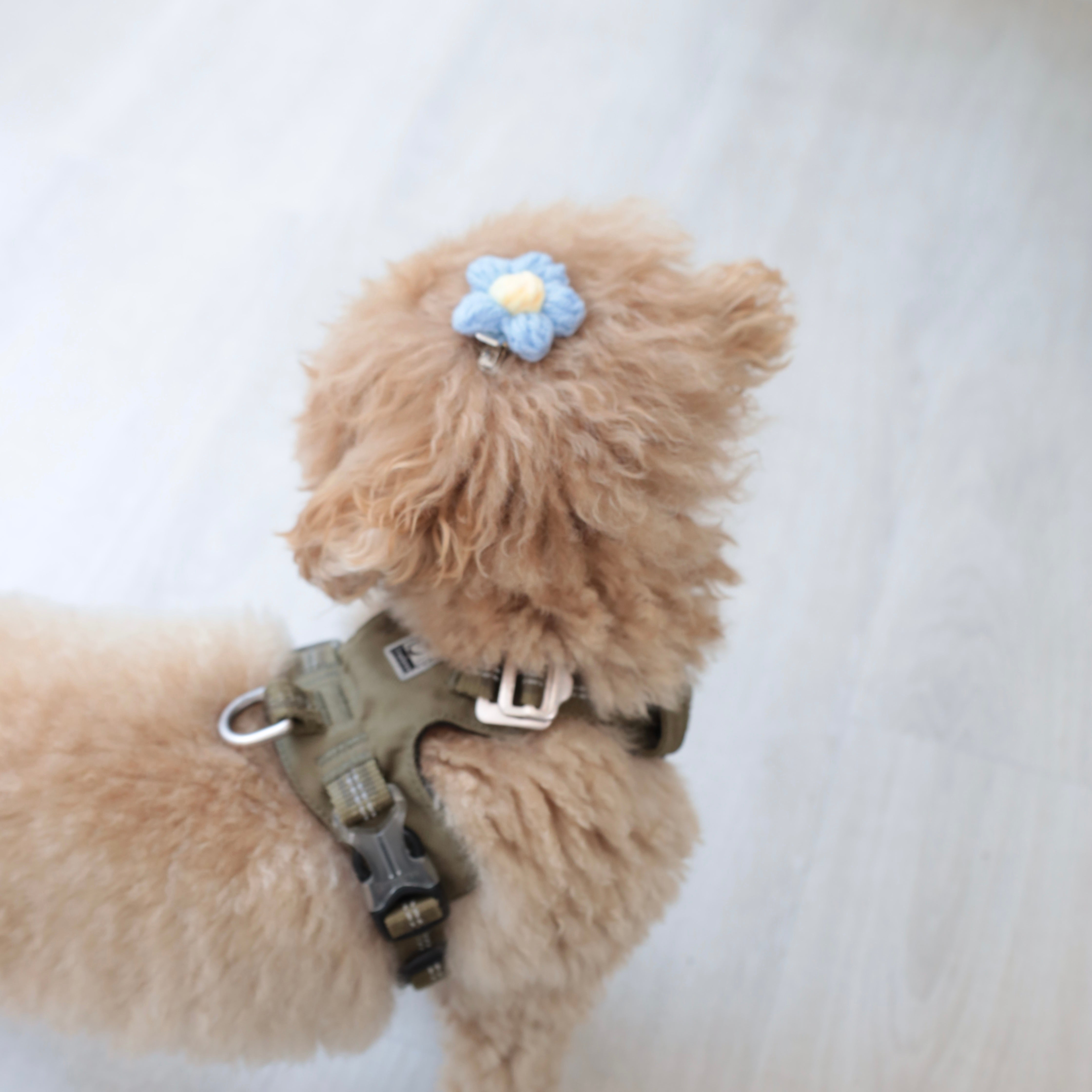 Pet Daily | Flower Pet Hair Clip