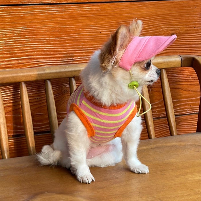 Pet Daily|Pet M-Style Sports Cap