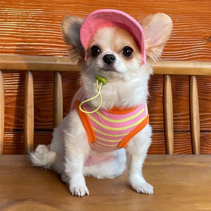 Pet Daily|Pet M-Style Sports Cap