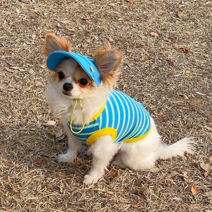 Pet Daily|Pet M-Style Sports Cap