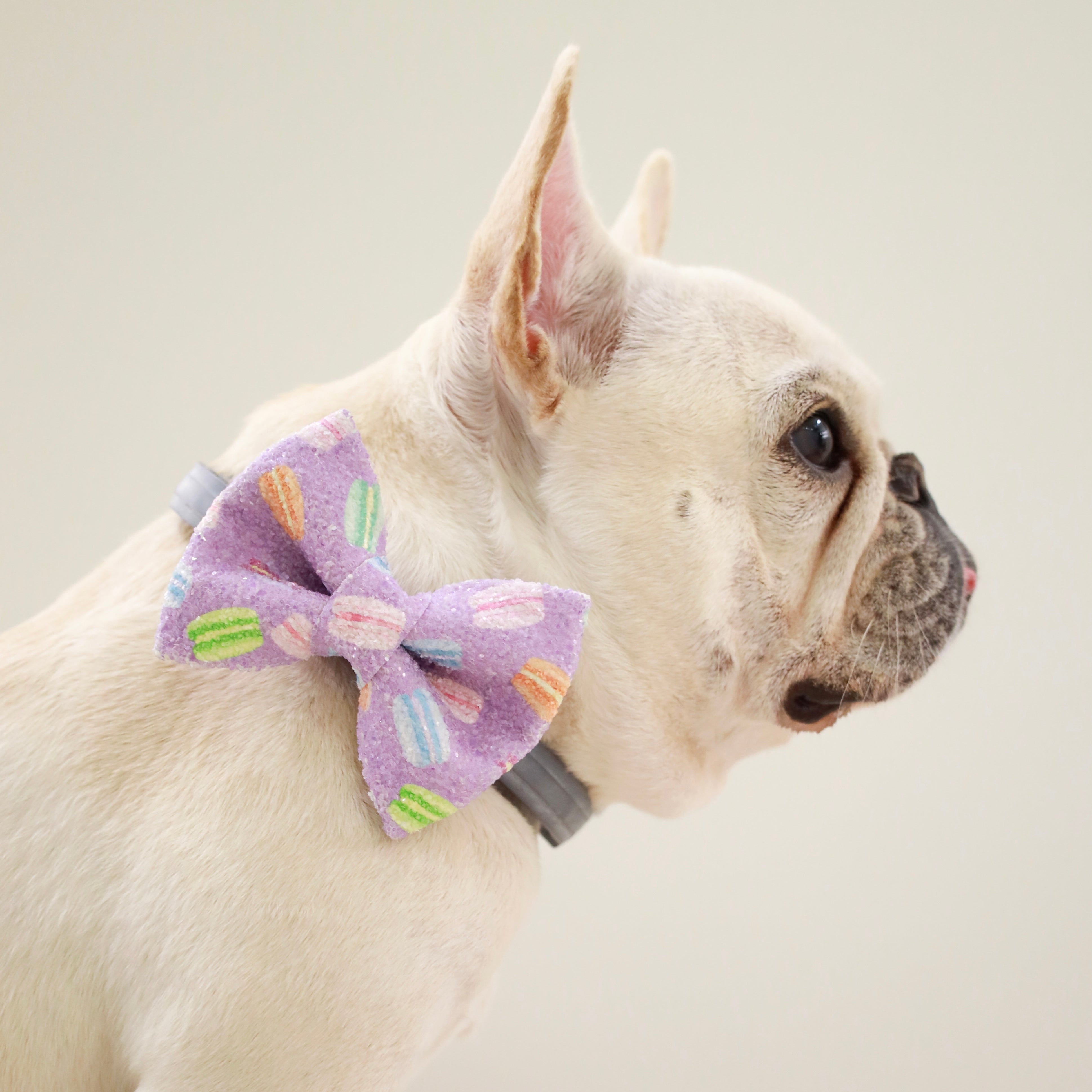 寵物飾物_狗狗bowtie