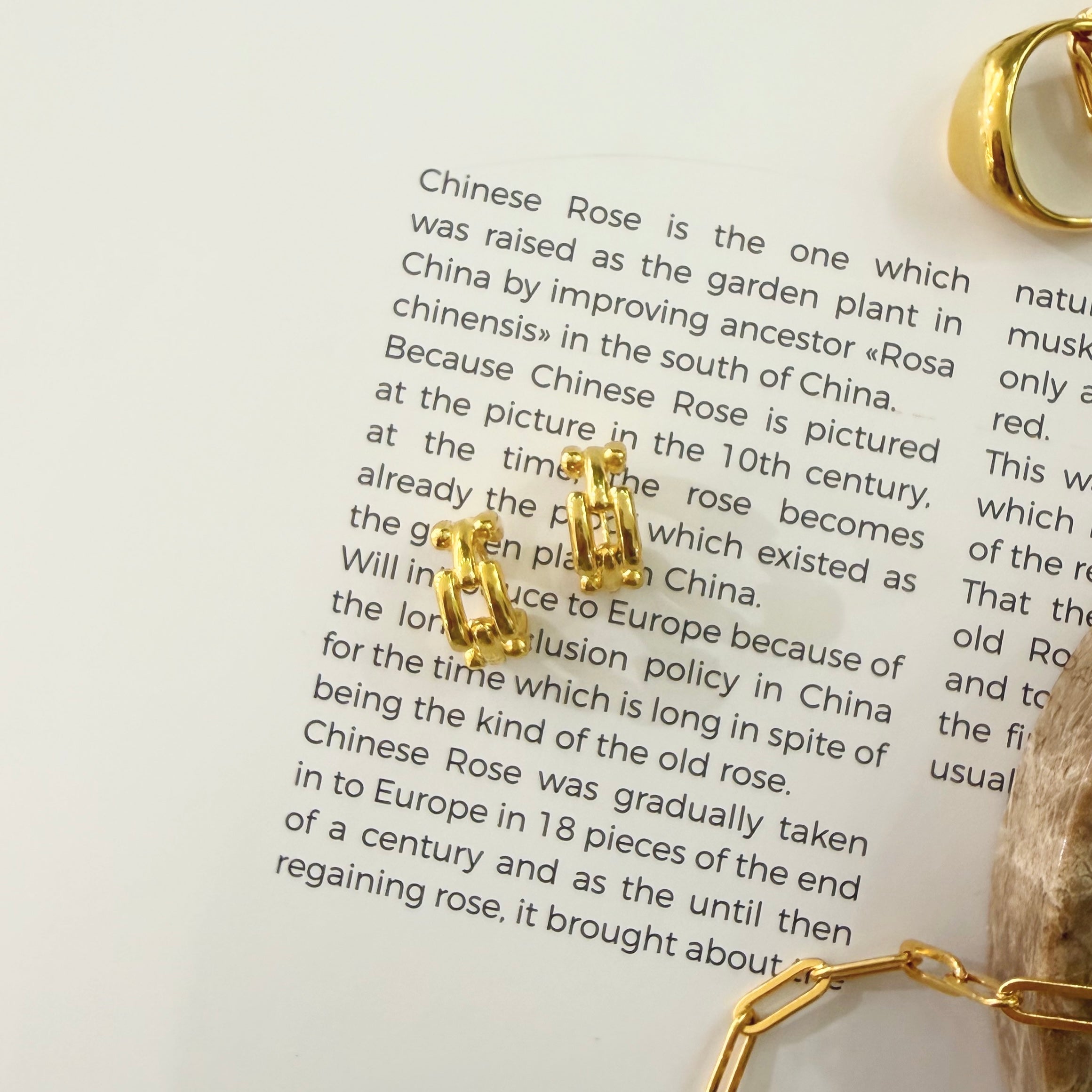 IKON DELUXE | 925Silver Chain Hoop Earrings