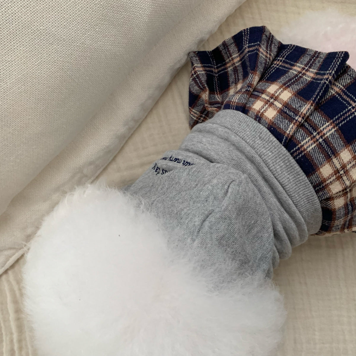 Pet Daily | Pet Classic Plaid Hoodie Set