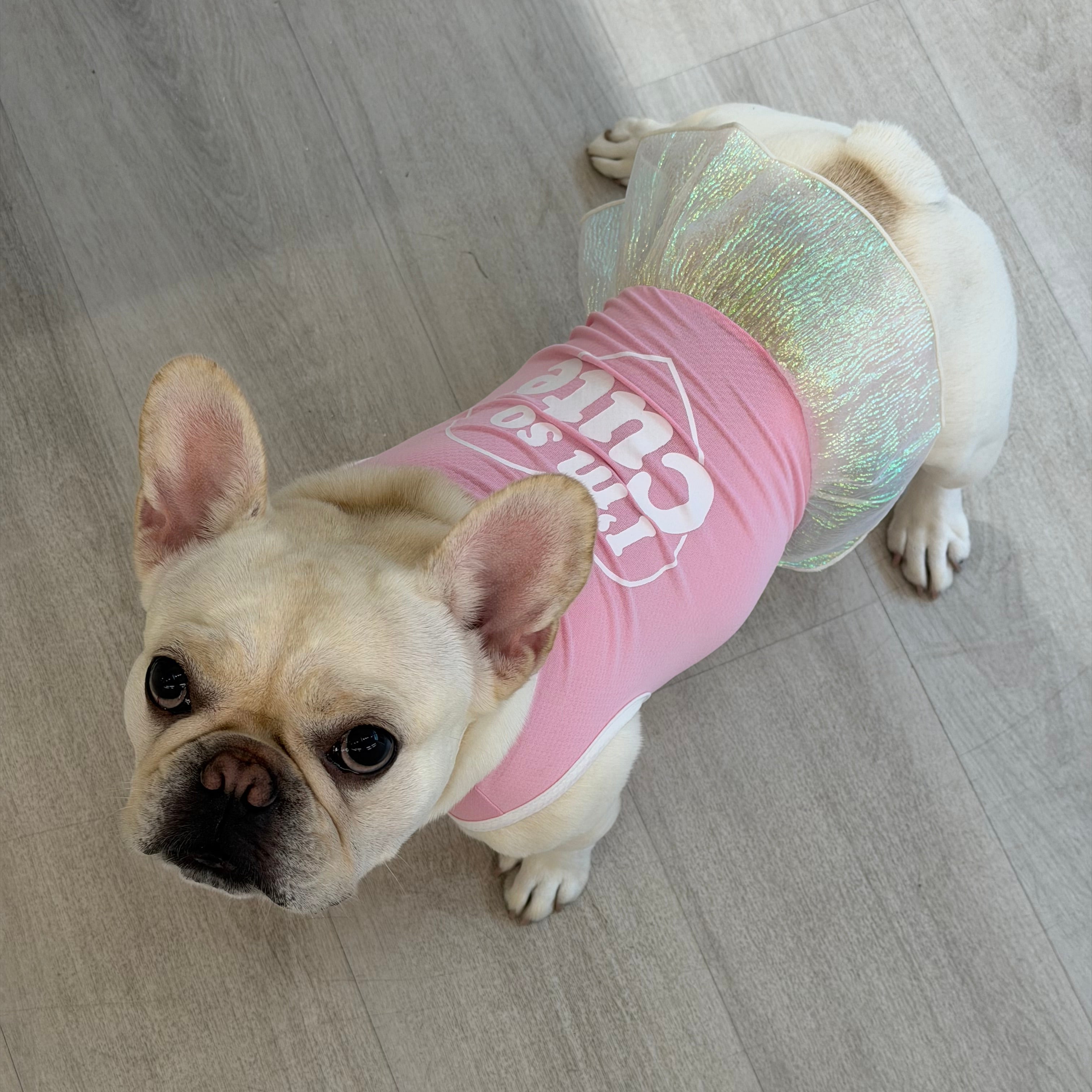 Pet Daily | "I'm So Cute" Instant Cooling Pet Dress