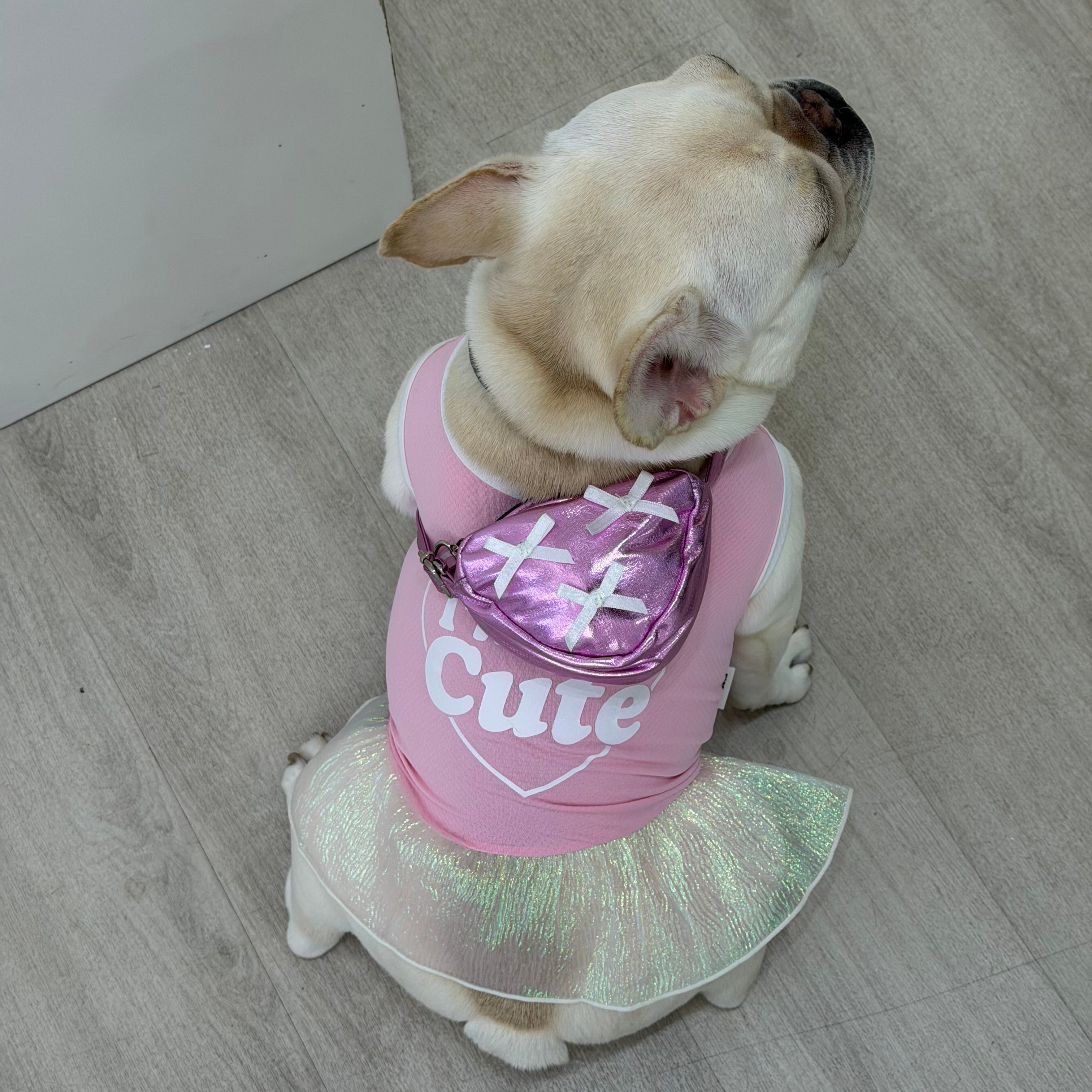 Pet Daily | "I'm So Cute" Instant Cooling Pet Dress