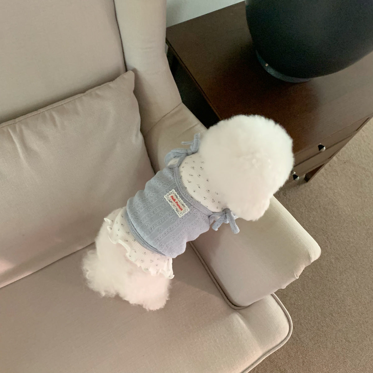 Pet Daily | Pet Cutie Layered Top