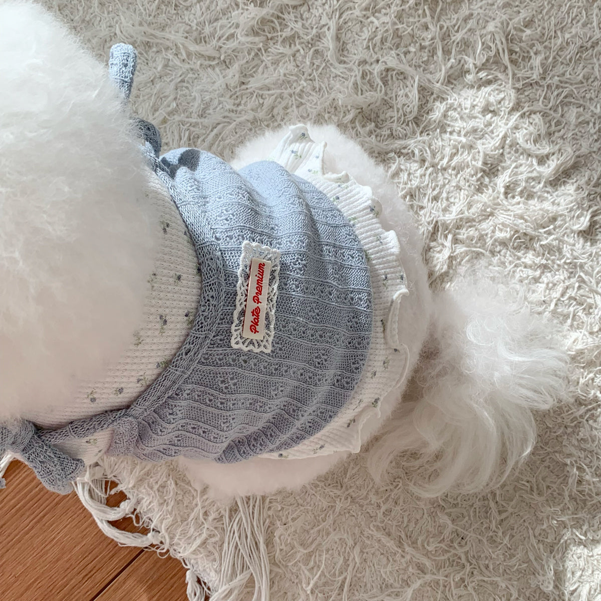 Pet Daily | Pet Cutie Layered Top