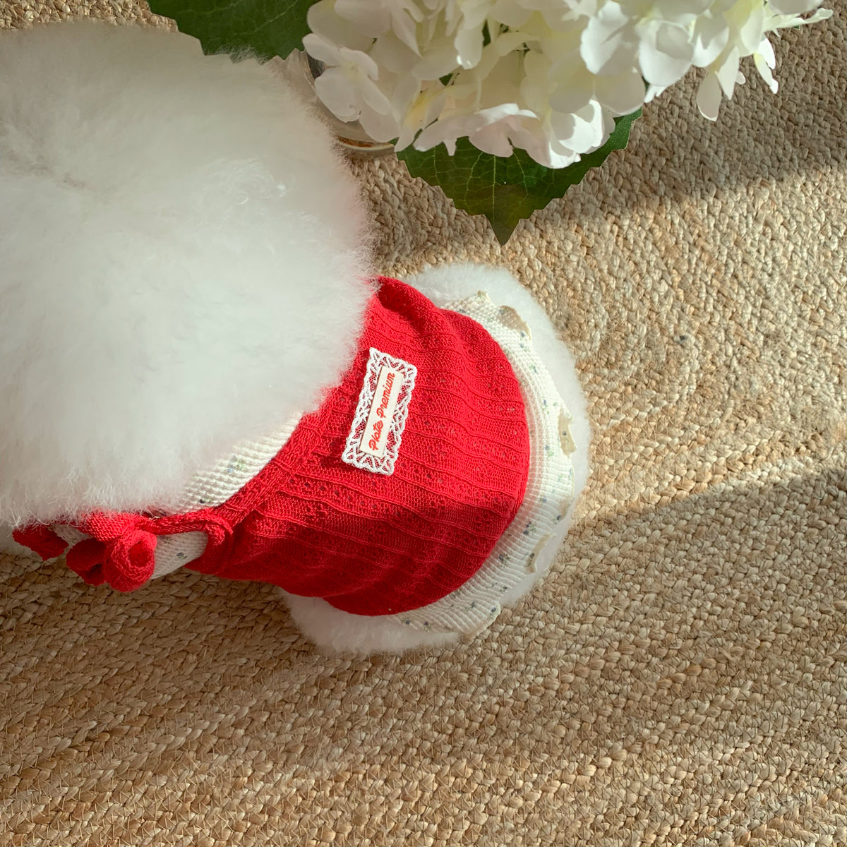 Pet Daily | Pet Cutie Layered Top